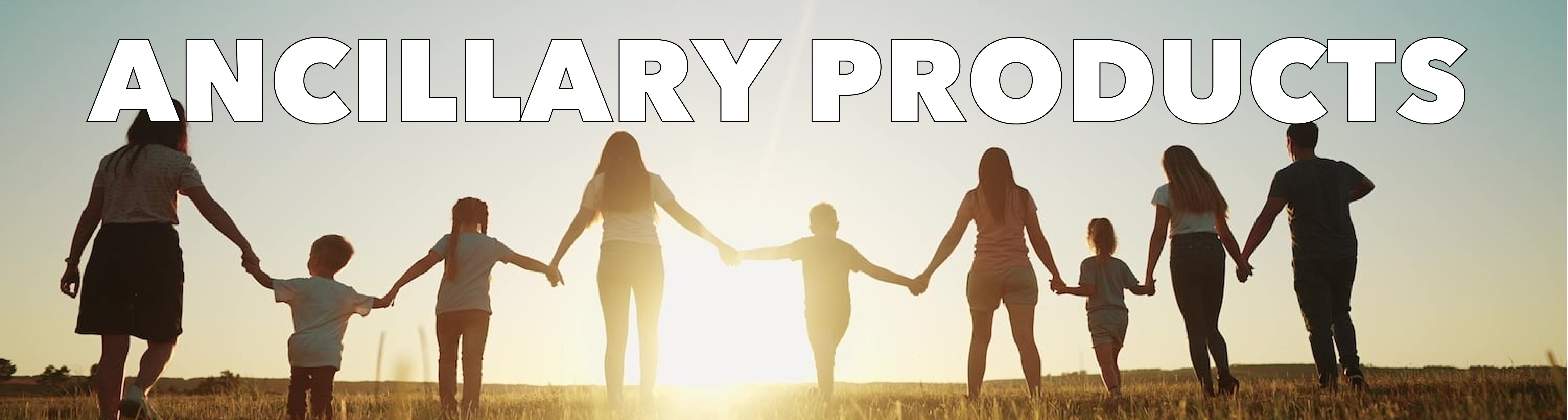 Ancillary Products Title Image