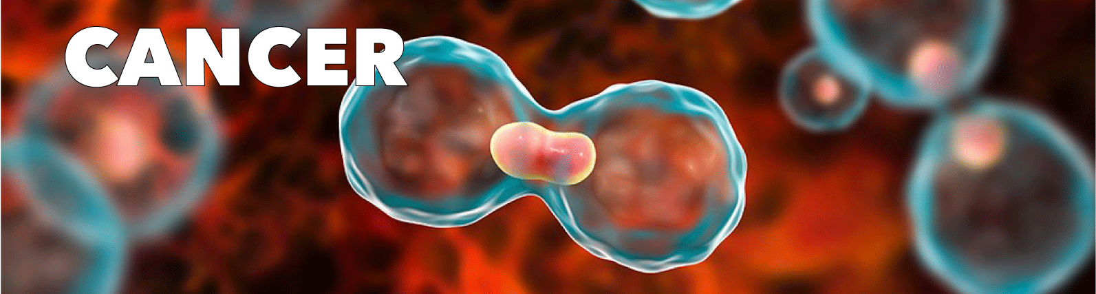 Cancer - Ancillary Products Title Image