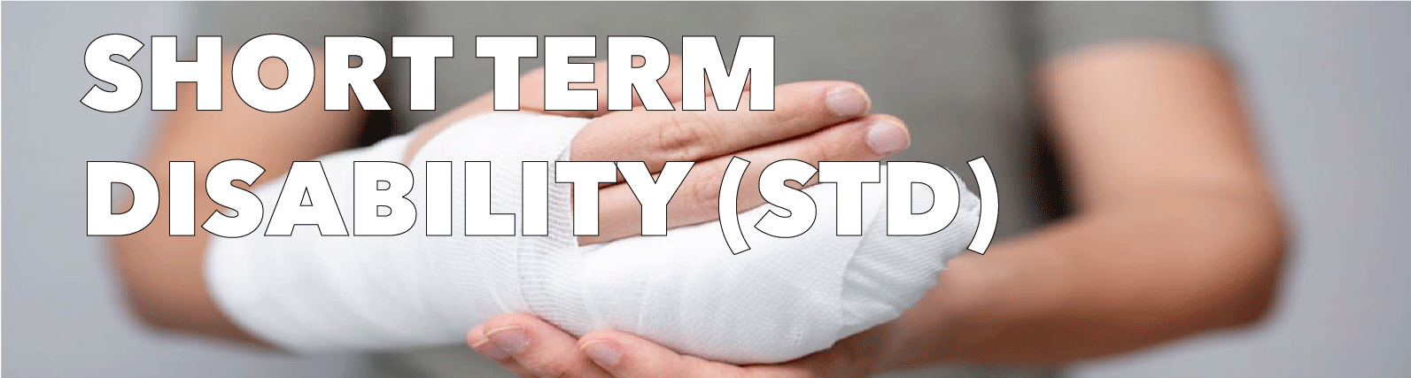 Short Term Disability - Ancillary Products Title Image