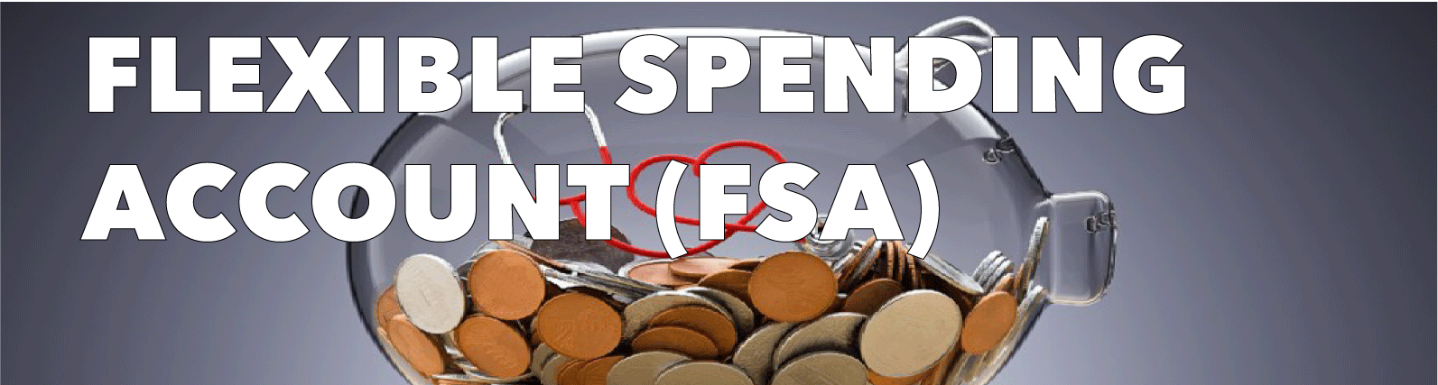 Flexible Spending Account (FSA) - Ancillary Products Title Image